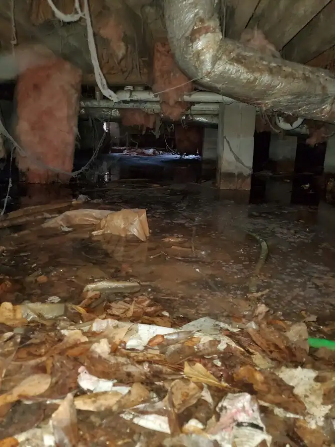 Crawl space flood assessment for Leak Detection & Repair in Crossville