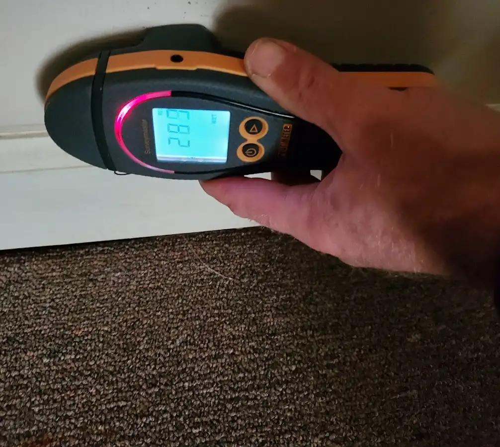 Moisture detection at baseboard during Sewage Cleanup & Sanitation in Crossville